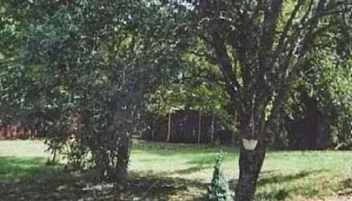 Jolie Hameau Pittoresque Allas - Foto 5, Garden view