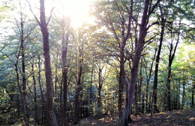 Casa Isabela Luxury Rooms - Foto 56