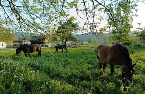 Osada Malawka pod Śnieżką - Foto 39