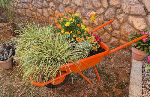 Oak Meadow Apartment - Photo 6