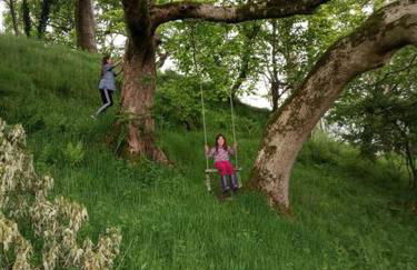 Canad Adar - Song of the Birds - Teifi Valley - Foto 41