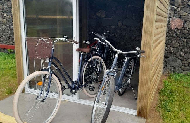 Parrots Village - Foto 52