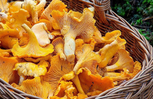 4 Person Holiday Home in Ljusdal - Photo 38