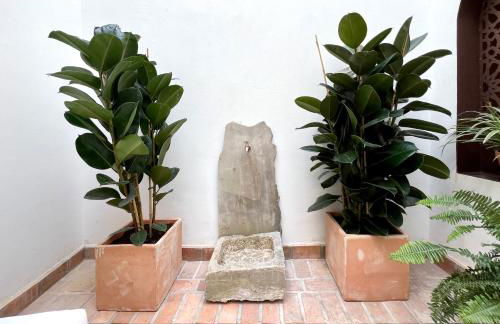 Arcos de Medina - Apartamentos premium - Foto 59