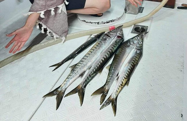 Capitán Manolis Pesca con barbacoa en el barco - Foto 41