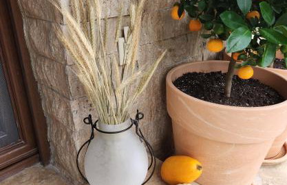 Garden's House Pozar in Aridaia - Photo 19