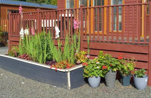 Poppy Lodge Glendevon Scotland - Foto 6