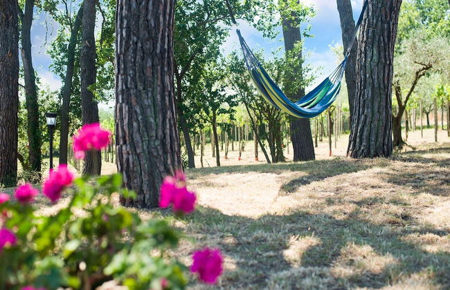 Enchanting Coastal With Views - Foto 34