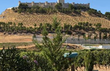 FINCA ENTREVIÑEDOS de Bodegas Marcos - Foto 12