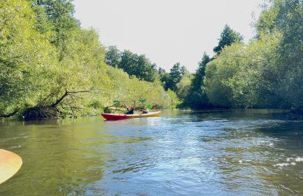 Siedlisko Wytowno - Foto 41