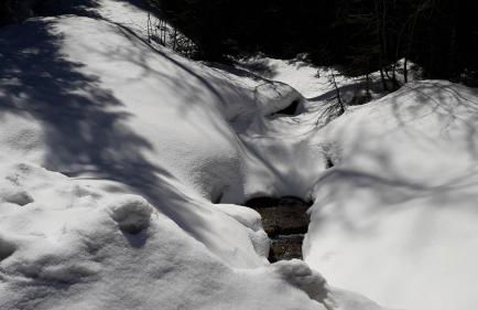 Bouffée d Oxygène - Photo 16