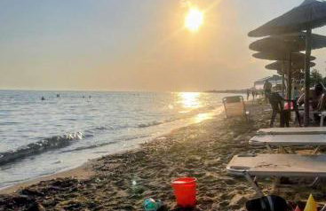 Yard of Panos - Foto 46