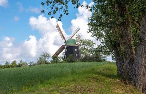 Wohnung in Tessmannsdorf mit Garten - Foto 54