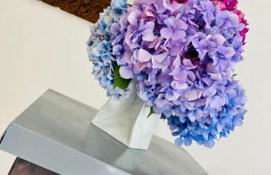 Residence le Pinete RTA - Foto 51