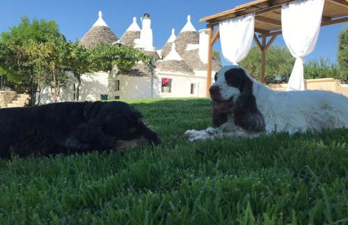 Trullo Matilde - Foto 17