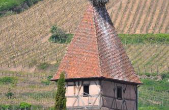 Gite du Vignoble - Foto 6