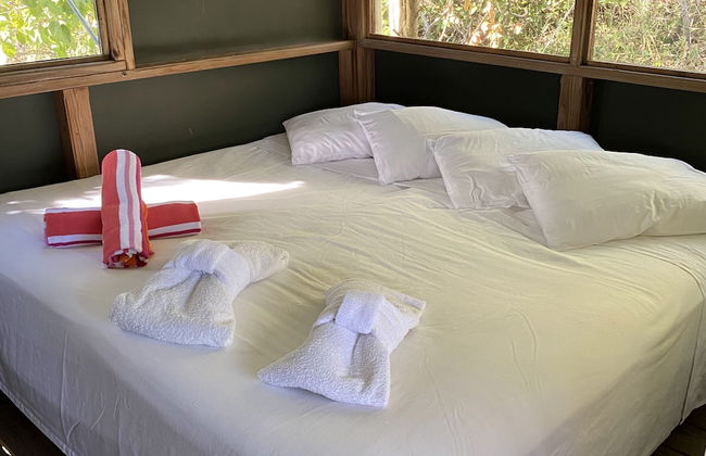 Virgin Islands Campground - Photo 11