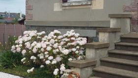 Gîte Anne et Jean - Foto 2, Garden