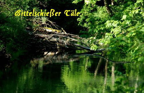 Bantles Parterre Ferienwohnung - Foto 19