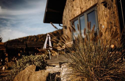 Szumilove Domki z saunami w Bieszczadach - Foto 6