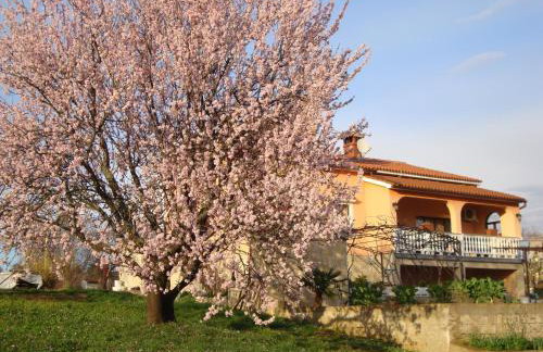 Apartments Alice Green Oasis - - Foto 40