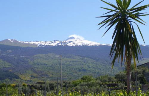 Etna Wine Azienda Agrituristica - Foto 22