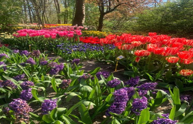 Holiday Home Near Dutch Coast & Sauna - Foto 38