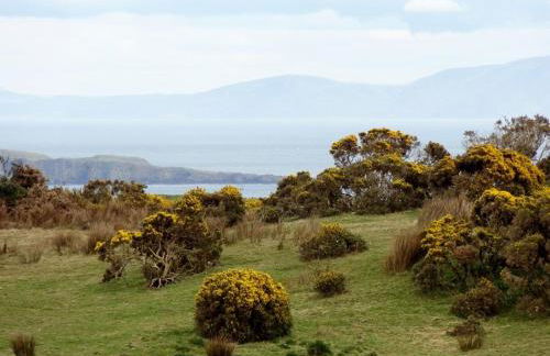 Glenmore House - Foto 18