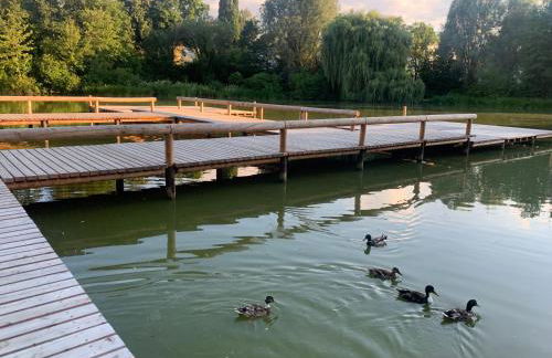 Altstadtloft Straubing - Foto 34