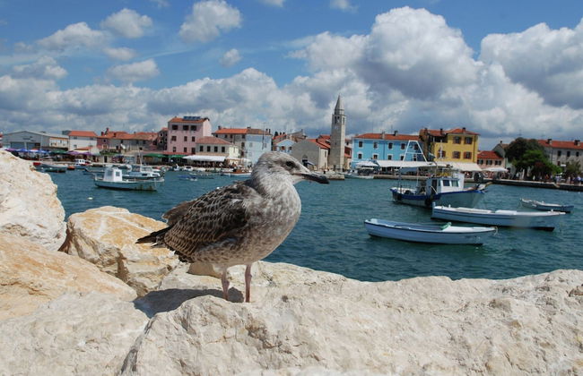 Detached House at Country Side, Fenced Private Garden Ideal for 2 Fam, Wifi - Photo 40