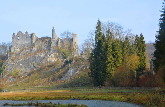 Holiday Home in Falaen Near Montaigle Castle - Foto 30