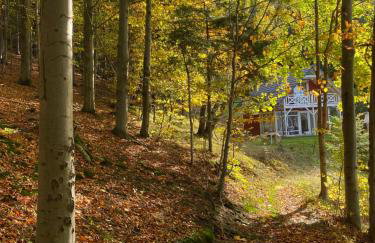 Forest house - Foto 21