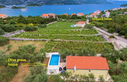 Vineyard House & Olive Grove House - Photo 30