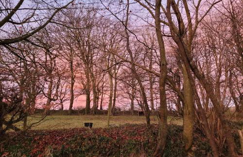 Ponycob hot tub 2 bed ensuite - Photo 16