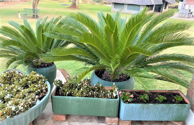 Twin Room in Hillside - 2087 - Foto 16