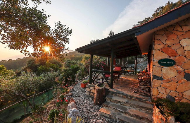 Terra Punto - Photo 6