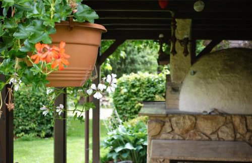 "Jabłonie i grusze" Nice home in a big garden with sauna and wifi - Foto 27