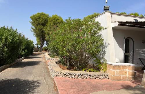 Casette Masseria La Camardia - Foto 36