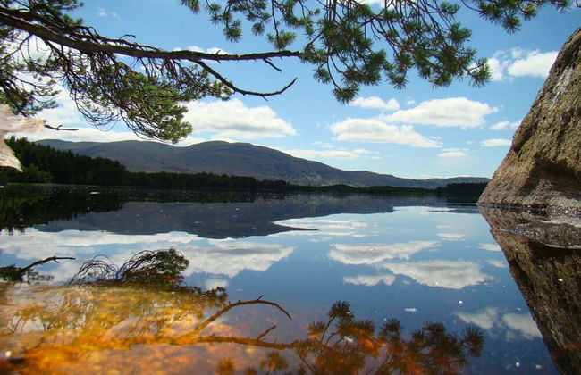 The Boat House Chalet - Boat of Garten - Near Aviemore - Sleeps 6 - Photo 10