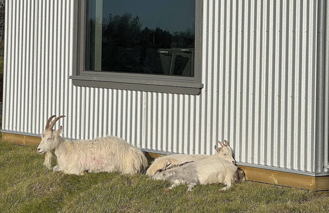 Askot Cottages - Foto 21