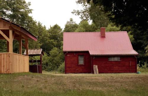 Wiejski domek w środku lasu Osłowo Mielnik - Foto 3