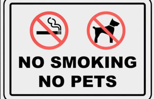 PERLA BLANCA I Peñíscola - Foto 44