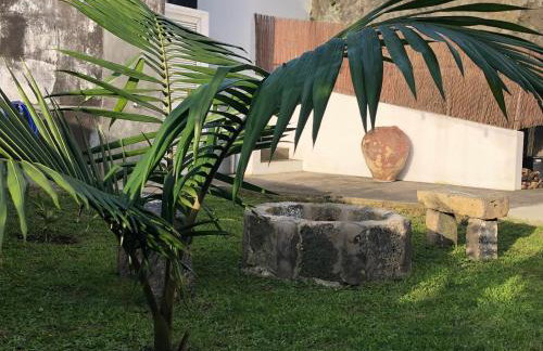 Central House - Photo 4