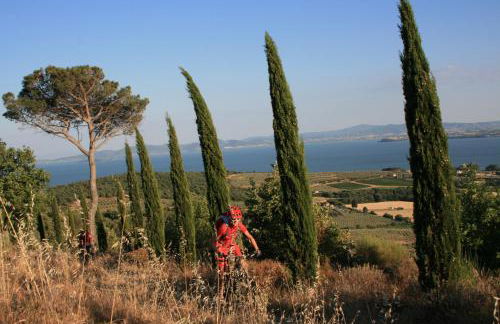 Country House Villa Rey - Foto 44