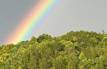 Domek pod Sosnową Górą - Foto 13