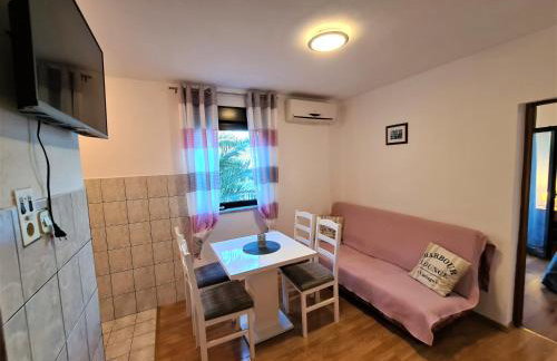 ĆOSIĆ APARTMANI IGRANE - Photo 11