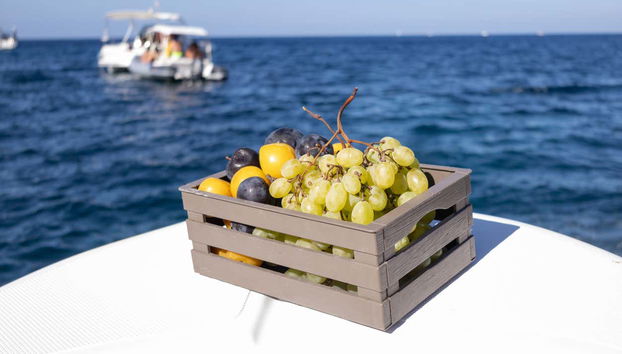 Day Trip to San Vito Lo Capo by Speedboat - Foto 4