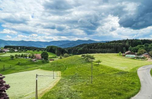 Apartment Panoramablick by Interhome - Foto 20