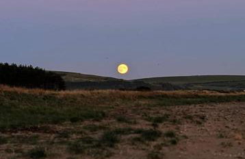 The Galloway Steading: Countryside Family Retreat with Sauna and Hot tub - Foto 54