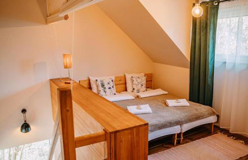 tuŻur domki nad potokiem - Foto 53